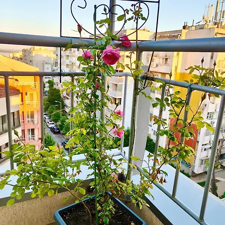 цар самуил Apartment